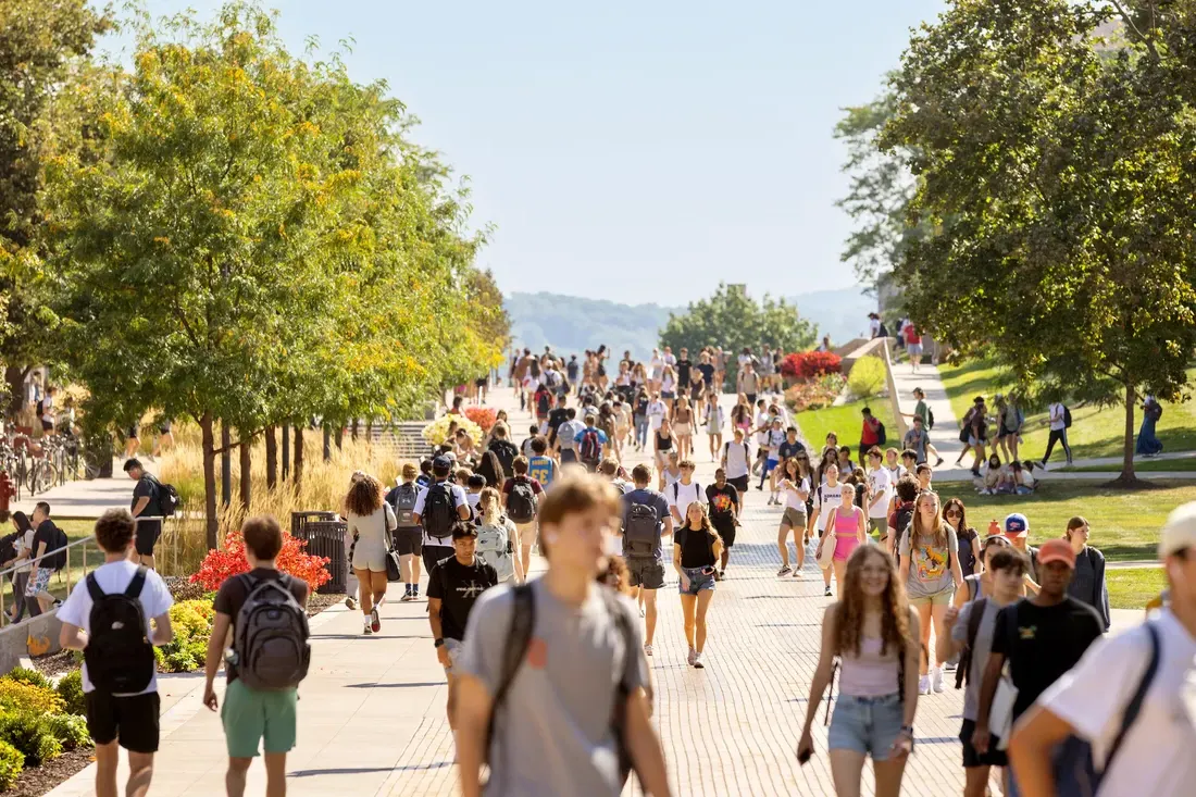 学生们在校园里散步.